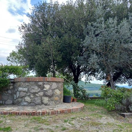 Agriturismo Riparossa Allerona Экстерьер фото
