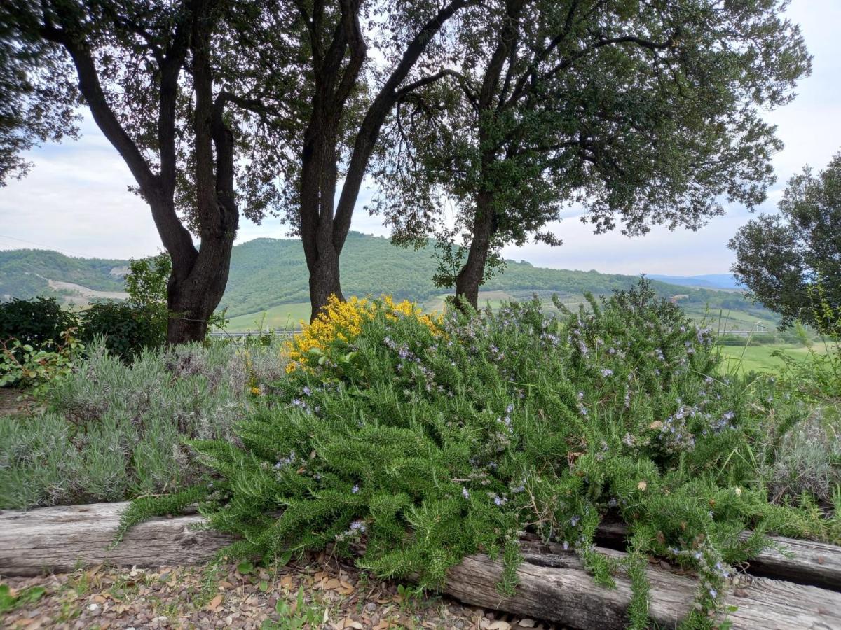 Agriturismo Riparossa Allerona Экстерьер фото