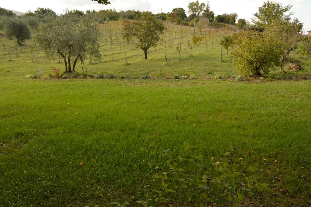 Agriturismo Riparossa Allerona Экстерьер фото