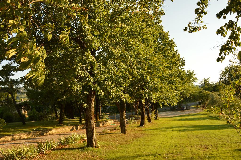 Agriturismo Riparossa Allerona Экстерьер фото