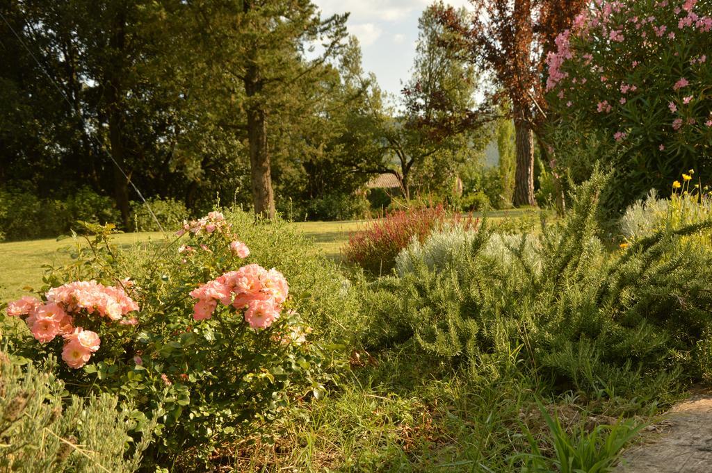 Agriturismo Riparossa Allerona Экстерьер фото