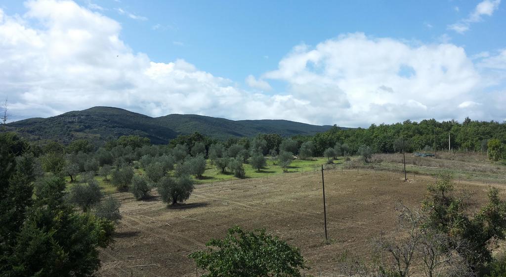 Agriturismo Riparossa Allerona Экстерьер фото