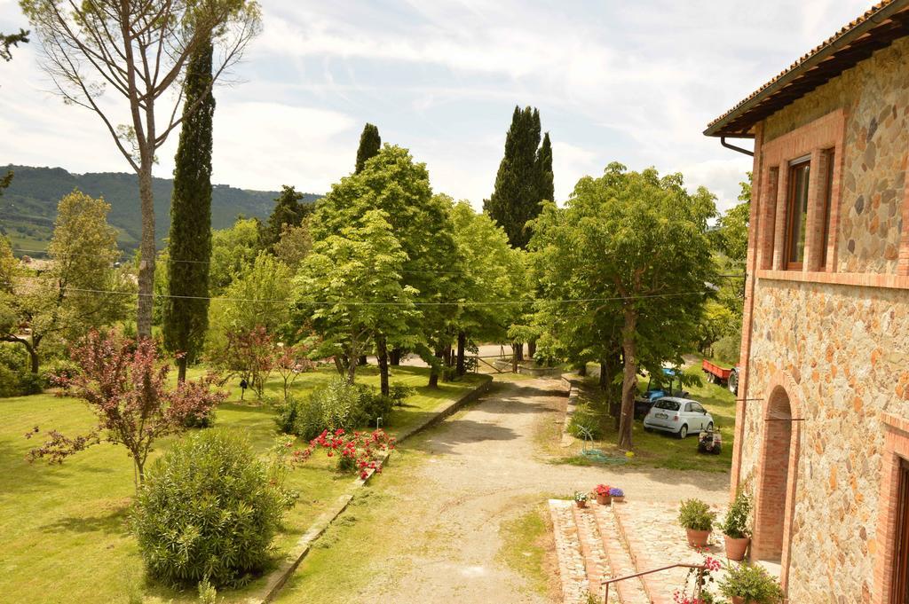 Agriturismo Riparossa Allerona Экстерьер фото