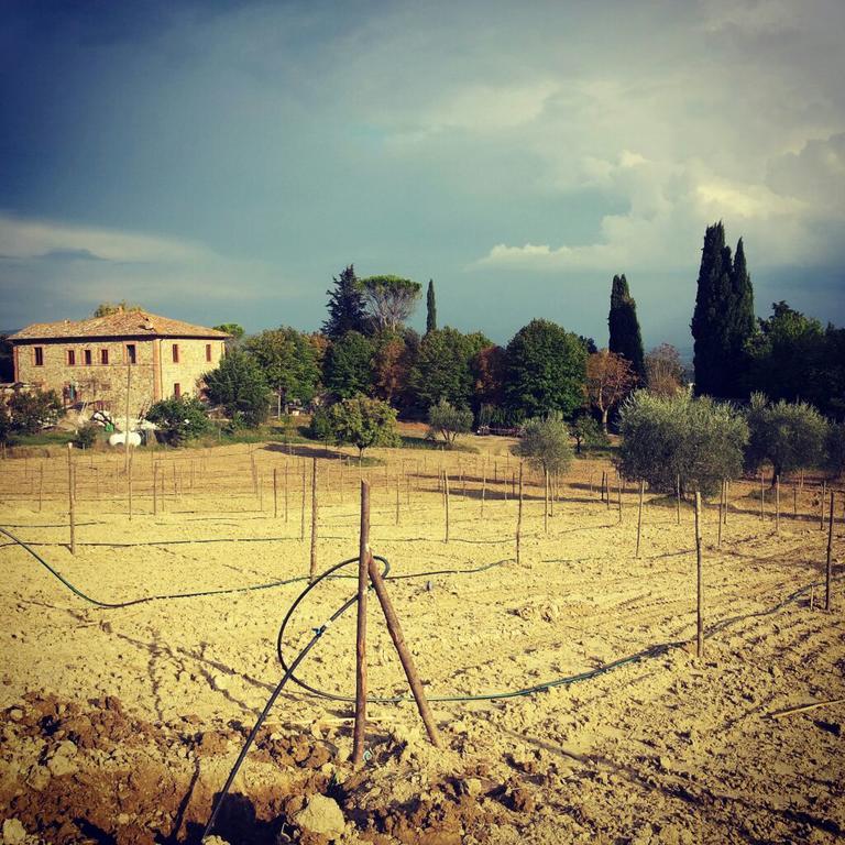Agriturismo Riparossa Allerona Экстерьер фото