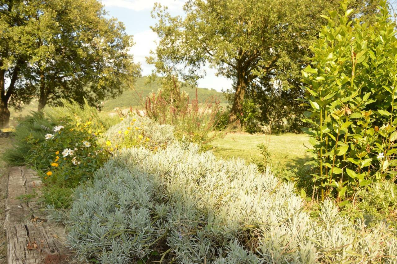 Agriturismo Riparossa Allerona Экстерьер фото