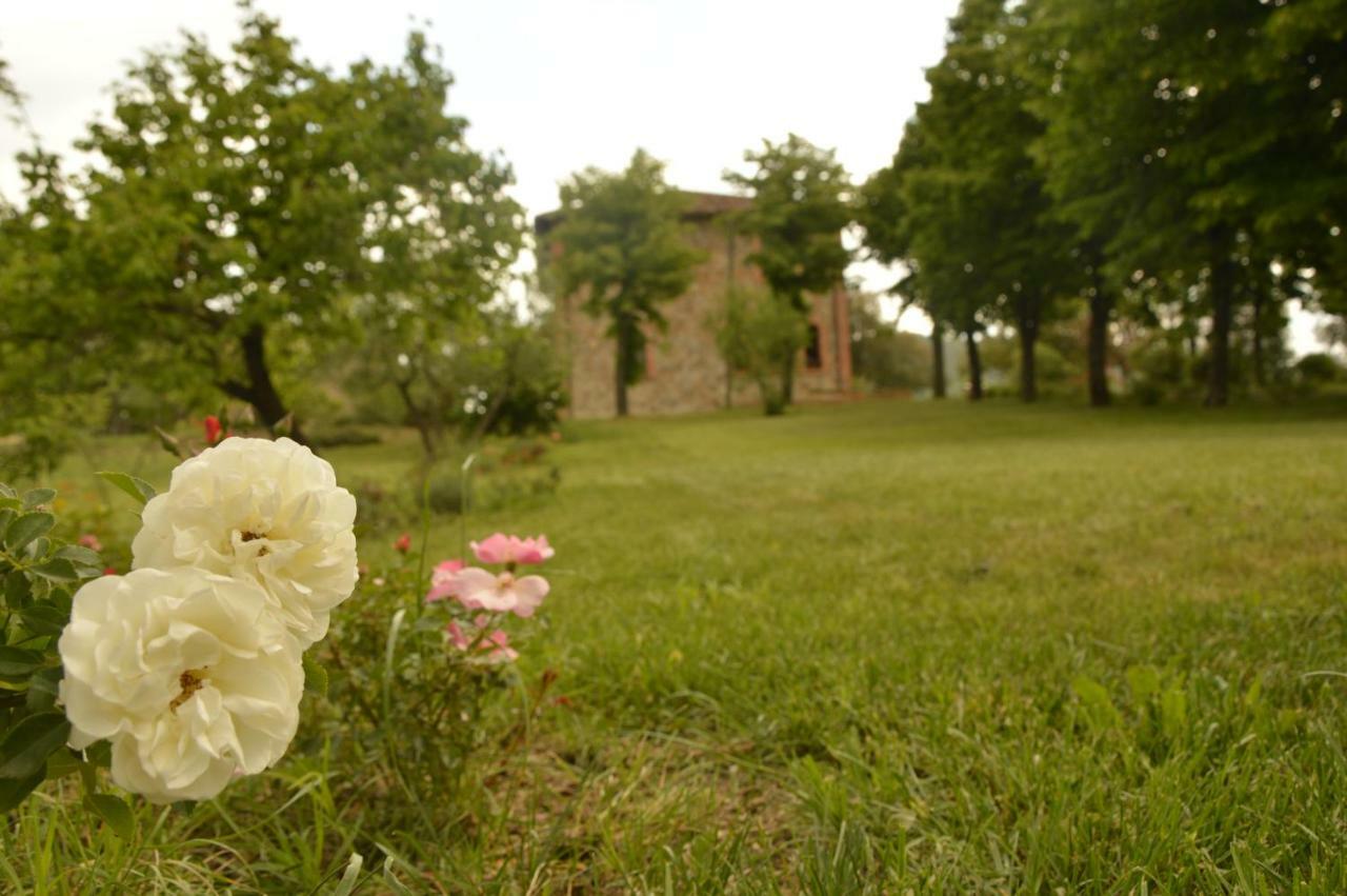 Agriturismo Riparossa Allerona Экстерьер фото